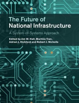 Cover of the book The Future of National Infrastructure by John Shawe-Taylor, Nello Cristianini