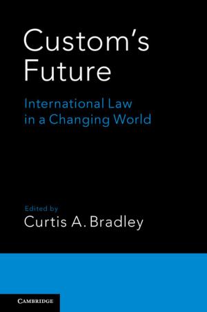 Cover of the book Custom's Future by Professor Rocco Sinisgalli