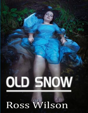 Cover of the book Old Snow by Pat O'Cain