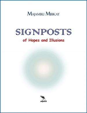 Cover of the book Signposts of Hopes and Illusions by Joy Renkins