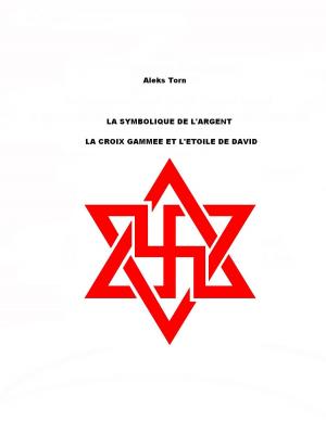 Cover of the book LA SYMBOLIQUE DE L'ARGENT by Aleks Torn
