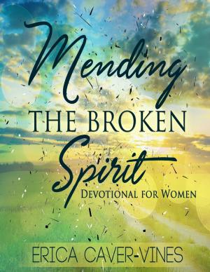 Book cover of Mending the Broken Spirit: Devotional for Women