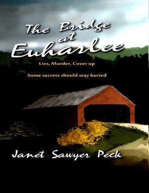 Cover of the book The Bridge At Euharlee by Eugene Robinson, Jr.