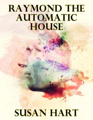 Cover of the book Raymond the Automatic House by Sandra Denbo, Tamarine Vilar