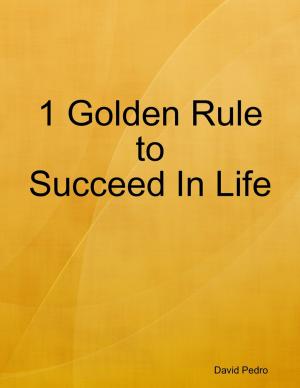 Cover of the book 1 Golden Rule to Succeed In Life by Nigel A. Bernard