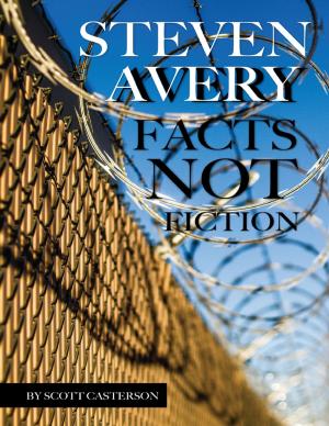 Cover of the book Steven Avery: Facts Not Fiction by Luke Amato