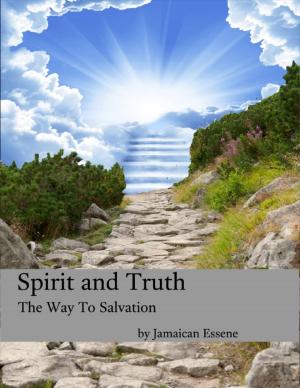 Cover of the book Spirit and Truth - The Way to Salvation by Matej Grgic