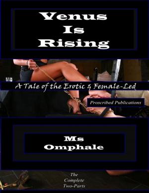 Cover of the book Venus Is Rising by Angela Mitchel