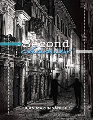 Cover of the book Second Chances by Antony Hammond