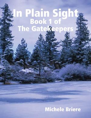 bigCover of the book In Plain Sight: Book 1 of the Gatekeepers by 