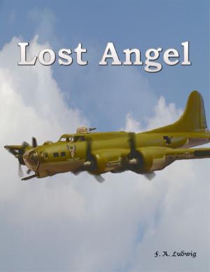 Cover of the book Lost Angel by Chris Morningforest, Rebecca Raymond