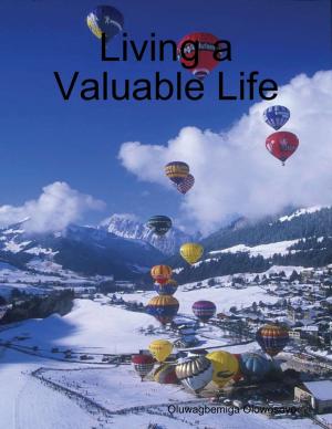 Cover of the book Living a Valuable Life by Riley Rowe