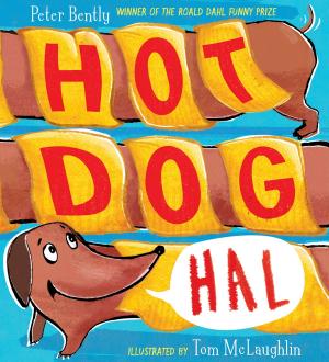 Cover of the book Hot Dog Hal by Lauren Tarshis