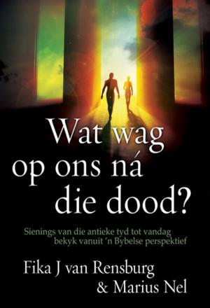 Book cover of Wat wag op ons na die dood? (eBoek)