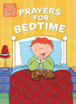 Cover of the book Prayers for Bedtime by Big Idea Entertainment, LLC, Aaron Linne