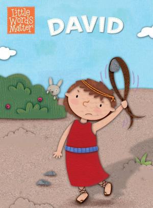 Cover of the book David by David Walls