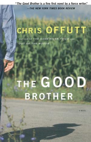 Cover of the book The Good Brother by Larry McMurtry