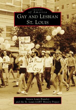 Cover of the book Gay and Lesbian St. Louis by Jewel Leigh Ellis