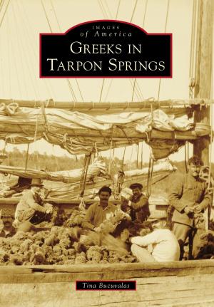 Book cover of Greeks in Tarpon Springs