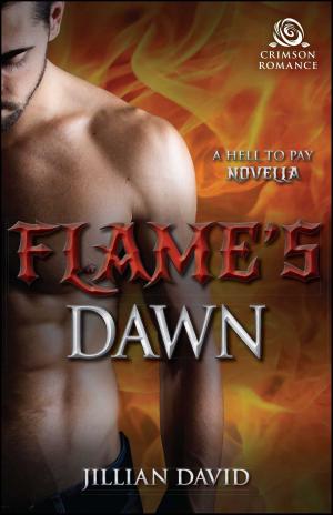 Book cover of Flame's Dawn