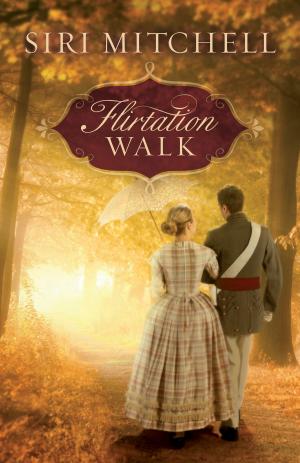 Cover of the book Flirtation Walk by Elizabeth Kingston