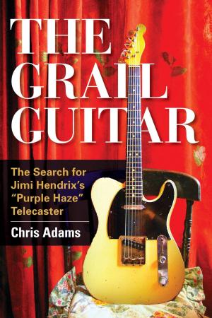 Cover of the book The Grail Guitar by Brian Stiltner