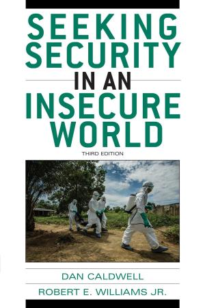 Cover of the book Seeking Security in an Insecure World by Raphael Sassower, Professor and Chair of Philosophy, University of Colorado