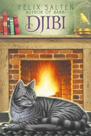 Cover of the book Djibi by Jessica Burkhart