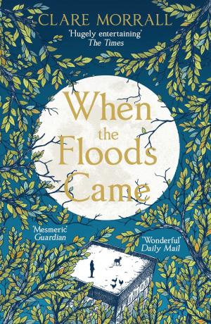 Cover of the book When the Floods Came by Nigel Tranter