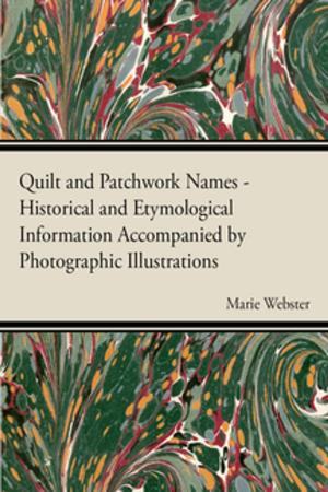 Cover of the book Quilt and Patchwork Names - Historical and Etymological Information Accompanied by Photographic Illustrations by Richard Cook