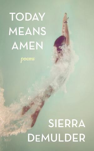 Cover of the book Today Means Amen by Bob Fenster