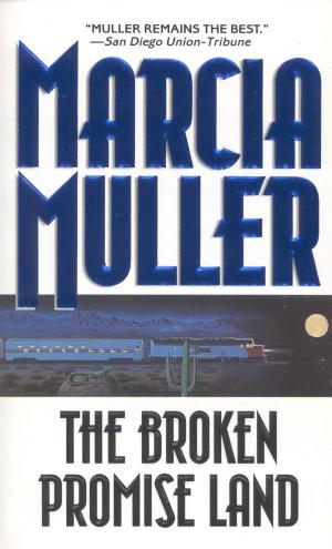 Cover of The Broken Promise Land