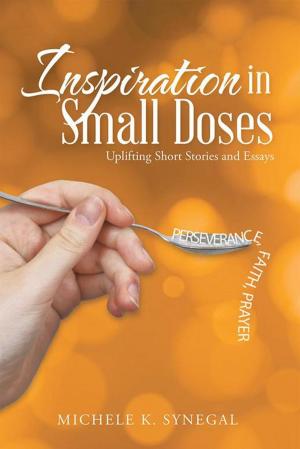 Cover of the book Inspiration in Small Doses by Edgar Allen Moore