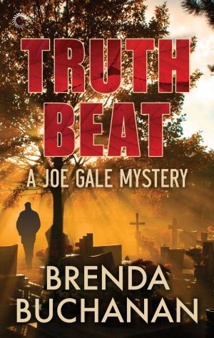 Cover of the book Truth Beat by Eleri Stone