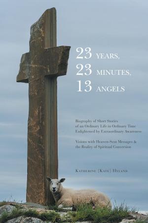 Book cover of 23 Years, 23 Minutes, 13 Angels