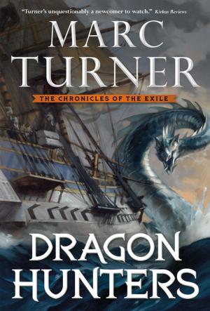 Book cover of Dragon Hunters