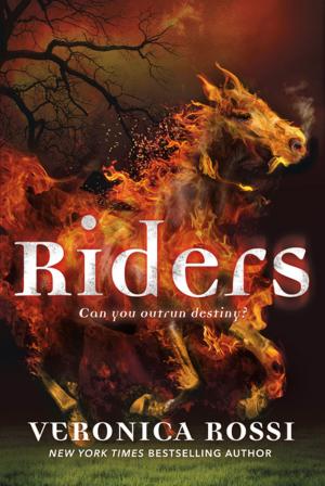 Cover of the book Riders by Seanan McGuire