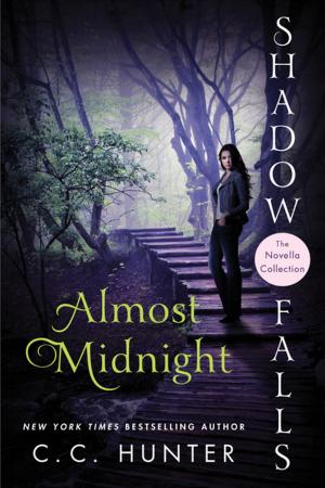 Cover of the book Almost Midnight by Amanda Goldberg, Ruthanna Khalighi Hopper
