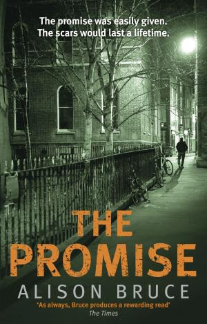 Cover of the book The Promise by E. Henry Thripshaw