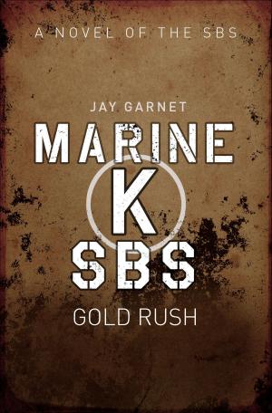 Cover of the book Marine K SBS by Paul Dowswell