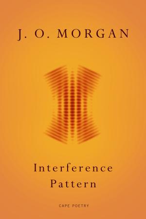 Cover of the book Interference Pattern by Rik Roots