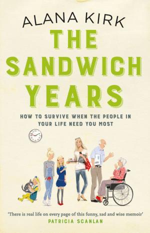 Cover of the book The Sandwich Years by Daire Whelan