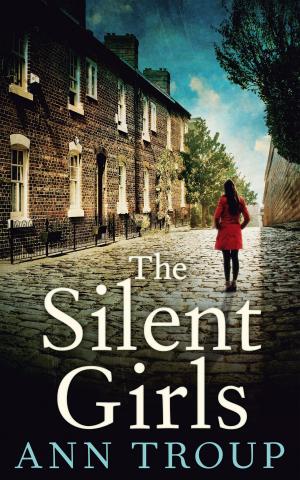 bigCover of the book The Silent Girls by 