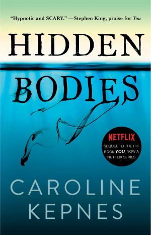 Cover of the book Hidden Bodies by Stephanie Elizondo Griest