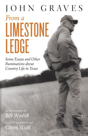 Cover of the book From a Limestone Ledge by David W. Fischer, Alan E. Bessette