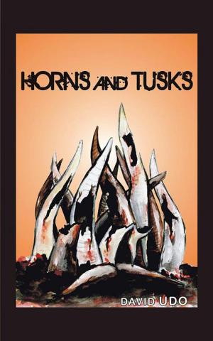 Cover of the book Horns and Tusks by A.J. JONKER