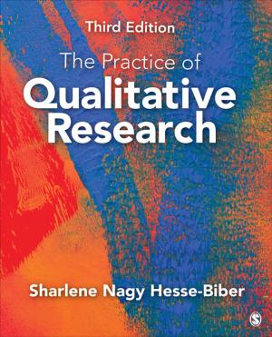 Cover of the book The Practice of Qualitative Research by Dr. Lena E. Hall