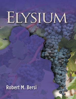 Cover of the book Elysium by Steven Edge