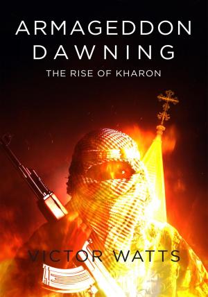 Cover of the book Armageddon Dawning by Davd Soul
