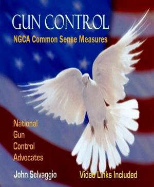 Cover of the book Gun Control: NGCA Common Sense Measures by John LaMonte